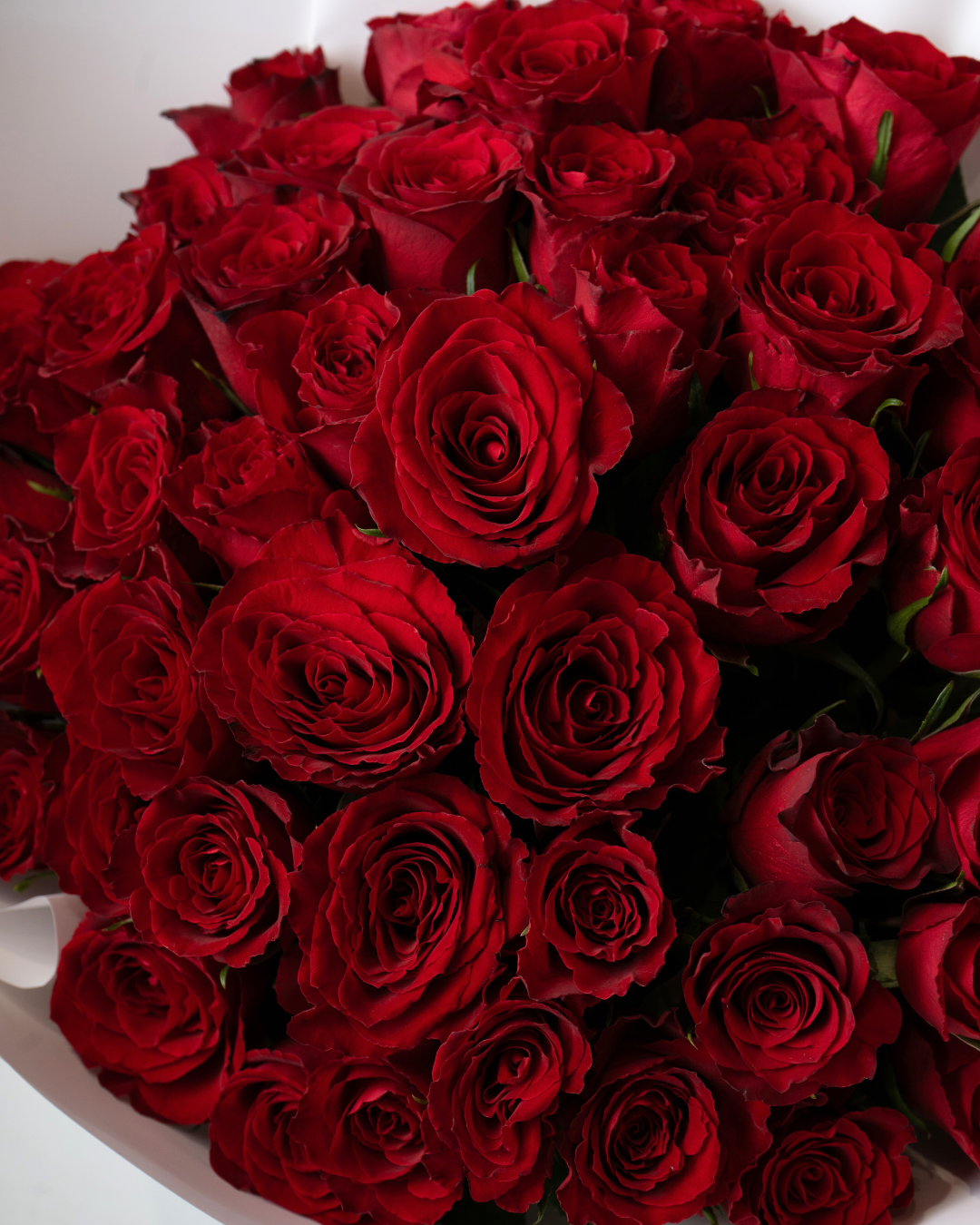 Quiet Crush Bundle - tanella flowers 