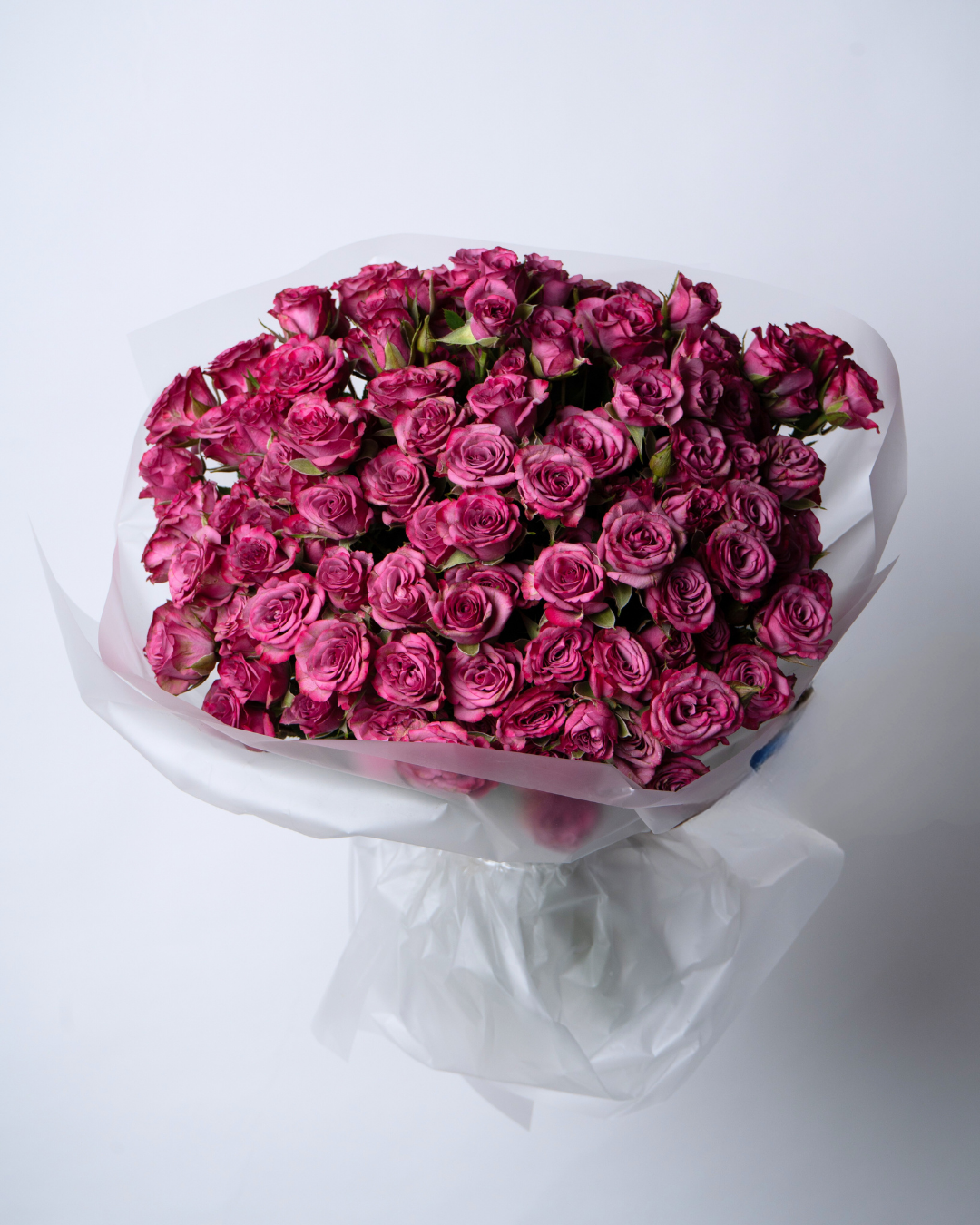 Mulberry Mousse - tanella flowers 
