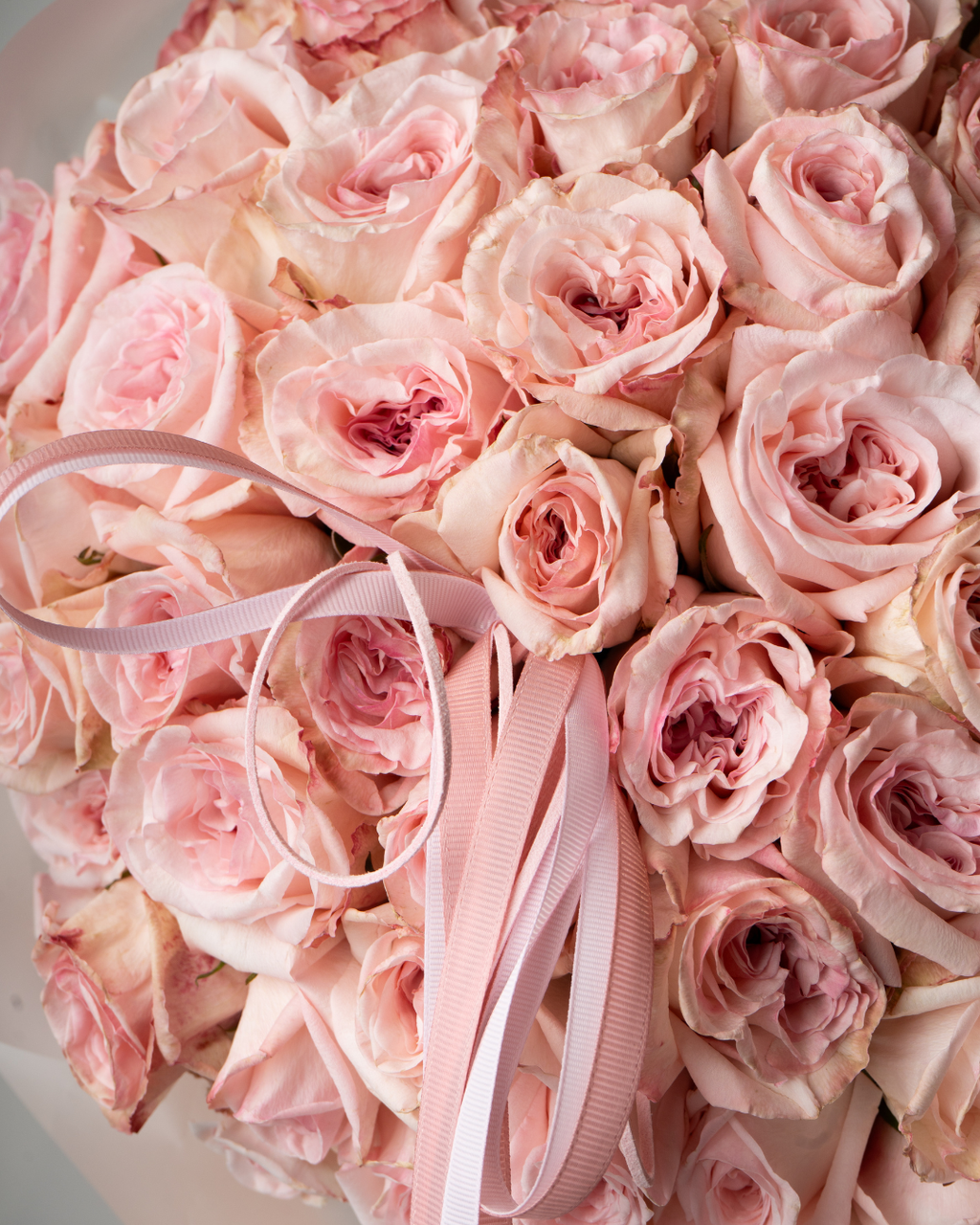 Rosé Soufflé - tanella flowers 