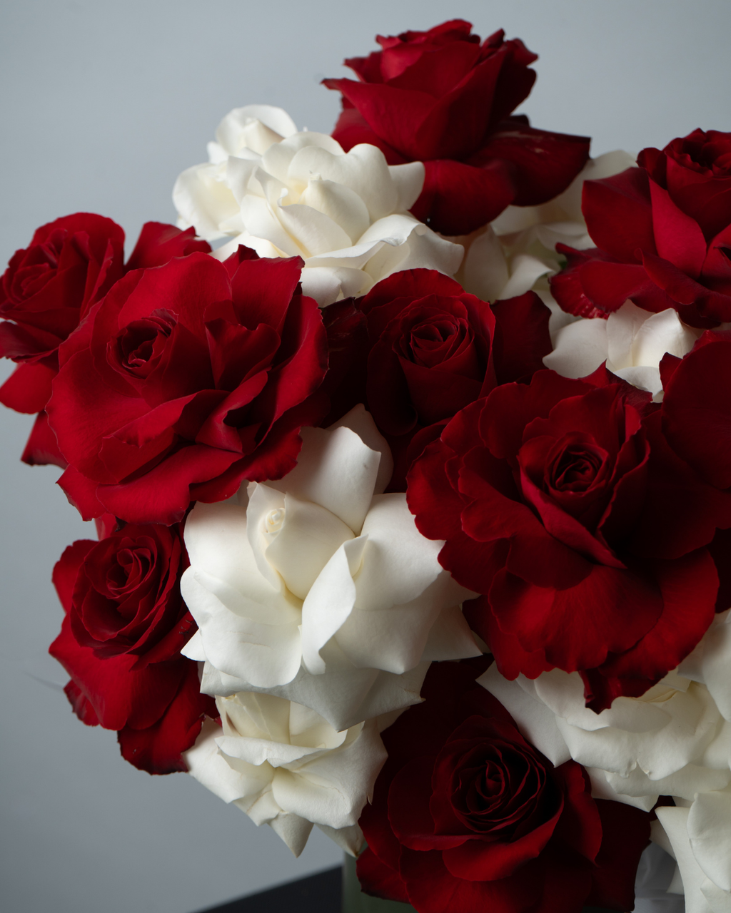 Snow & Rose - tanella flowers 