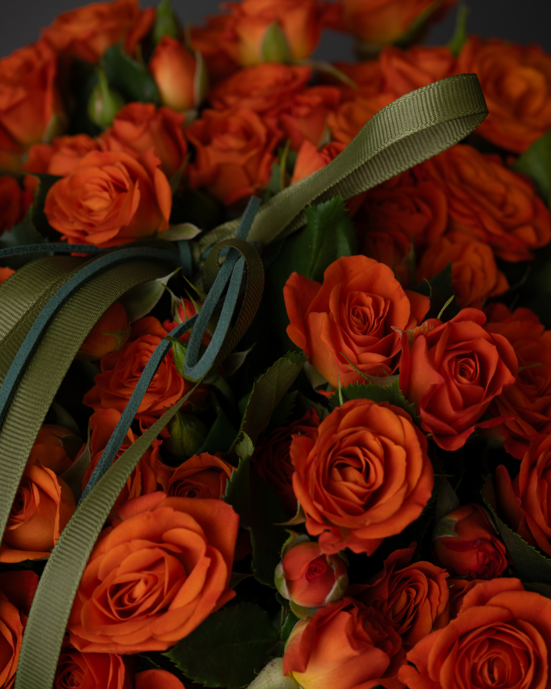 Marmalade Whip - tanella flowers 