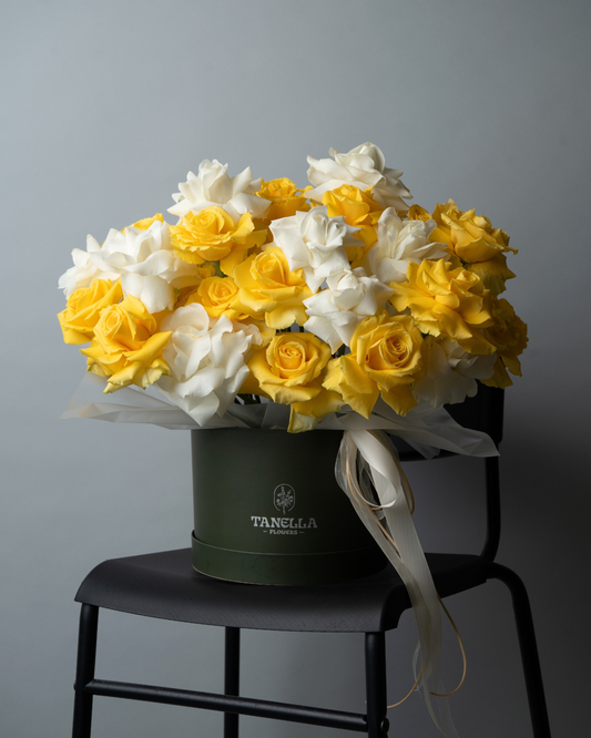 Daisy Dream - tanella flowers 