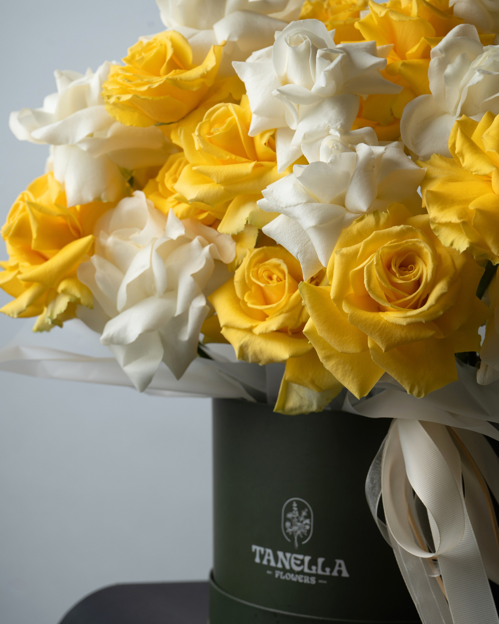 Daisy Dream - tanella flowers 