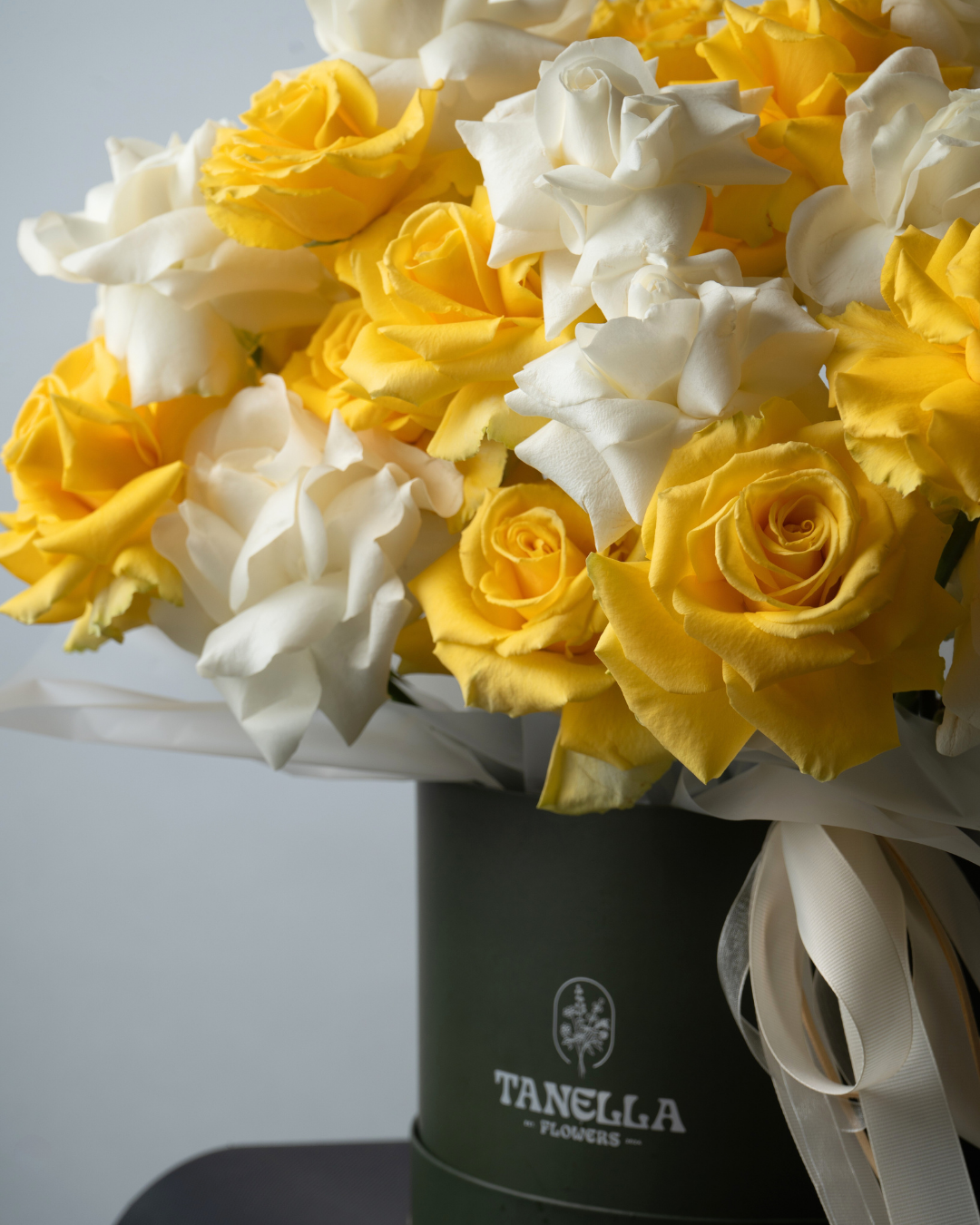 Daisy Dream - tanella flowers 