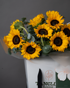 Sunflower Shortcake - tanella flowers 