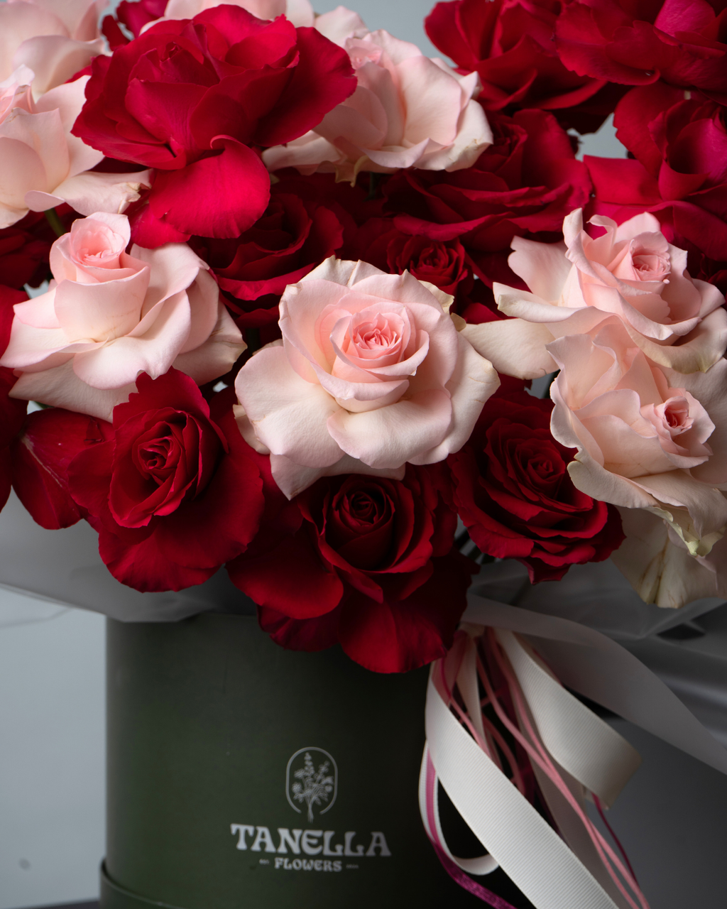 Scarlet Blush - tanella flowers 