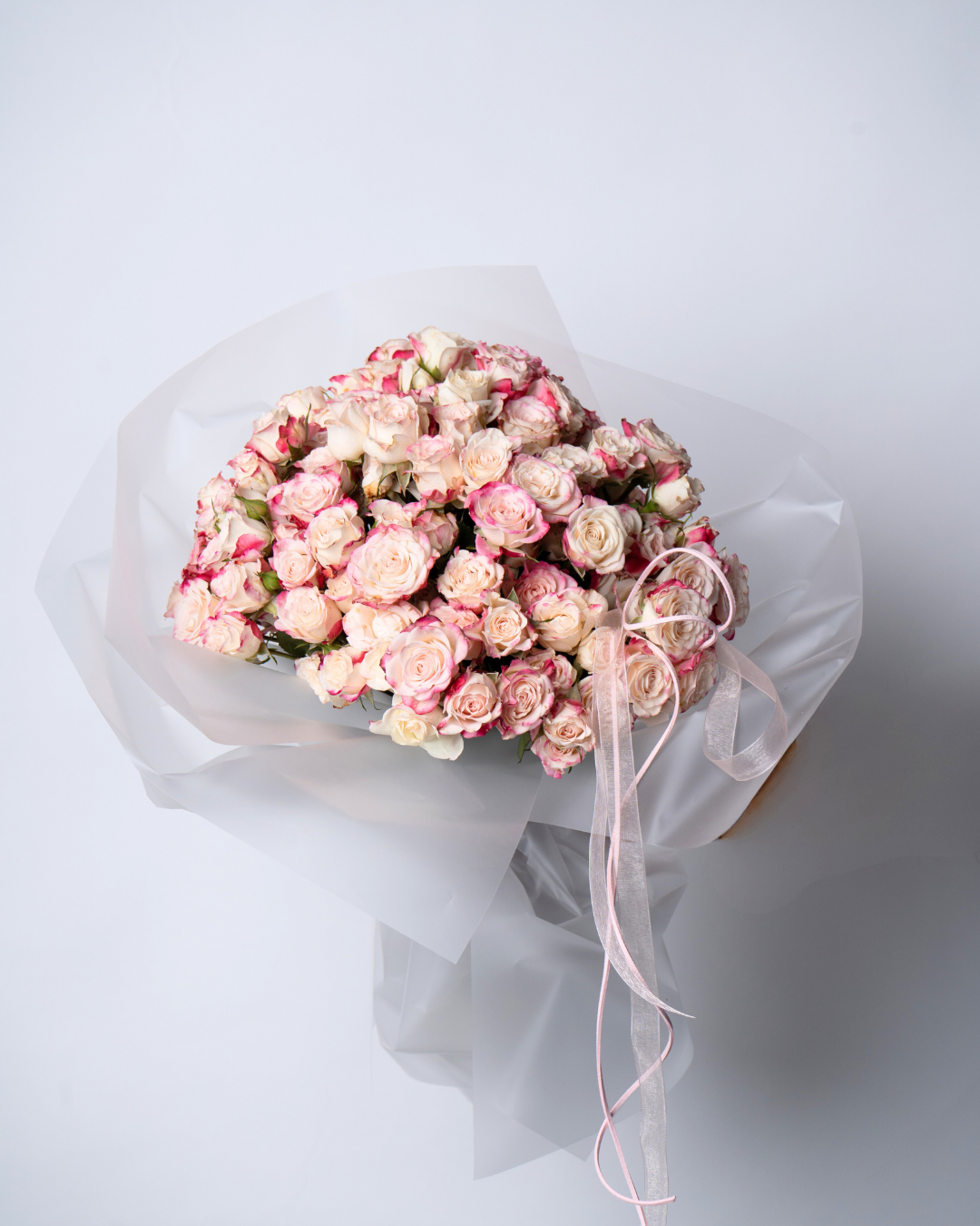 Blush Sugar - tanella flowers 