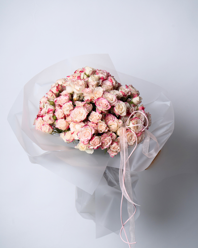 Blush Sugar - tanella flowers 