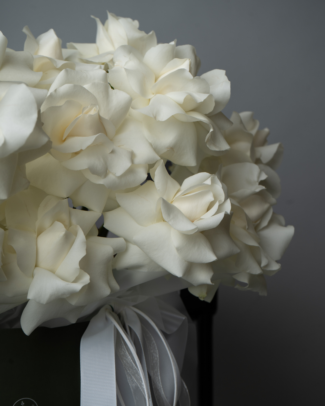 Sugar Rose - tanella flowers 
