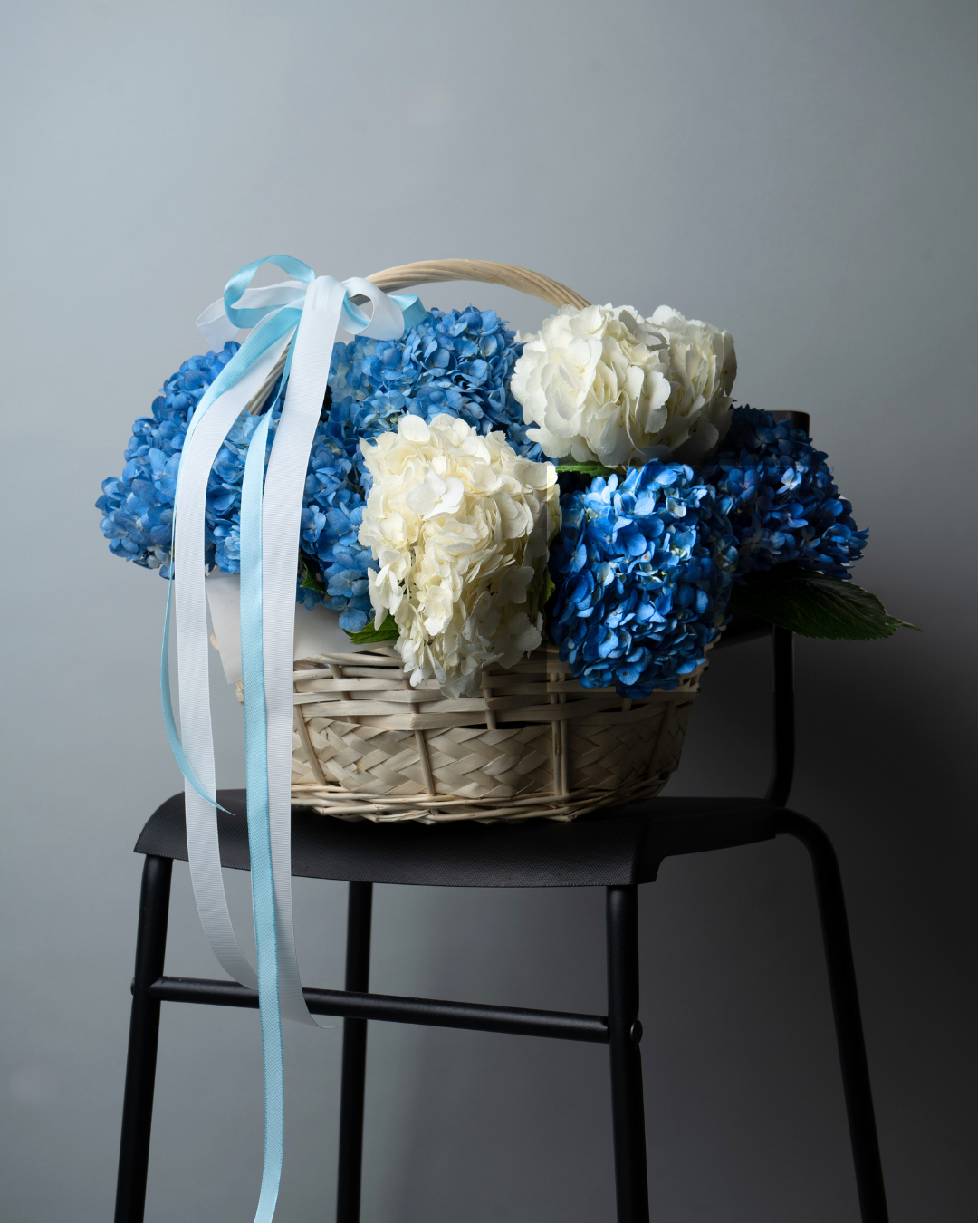 Blue Mist - tanella flowers 