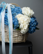 Blue Mist - tanella flowers 