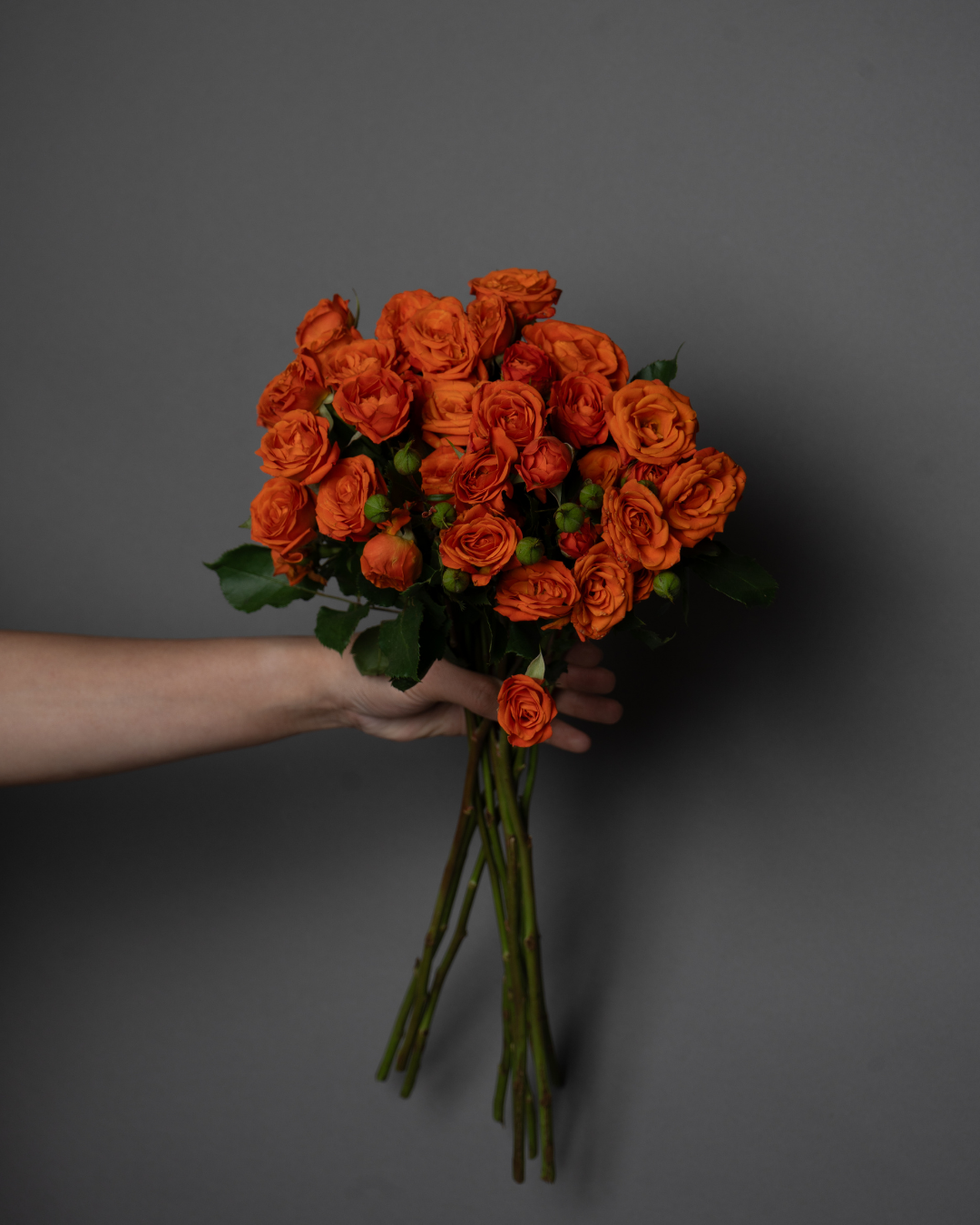Spray Rose Orange Babe - tanella flowers 