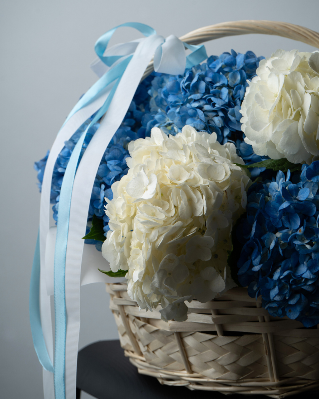 Blue Mist - tanella flowers 