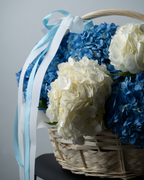 Blue Mist - tanella flowers 