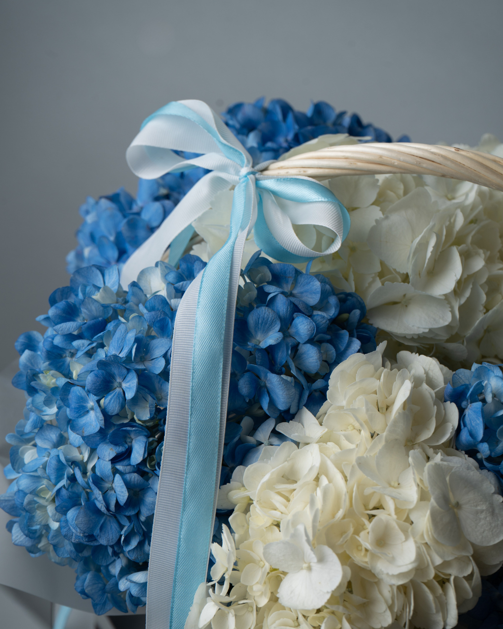 Blue Mist - tanella flowers 