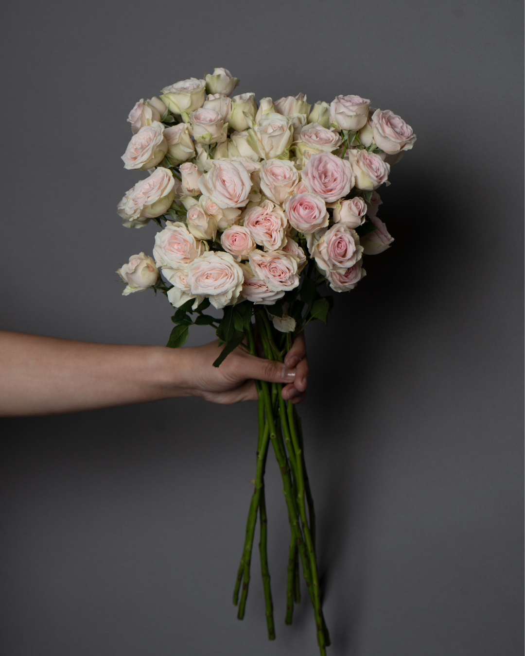 Spray Rose Wedding Rose - tanella flowers 