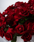 Cherry Ganache - tanella flowers 