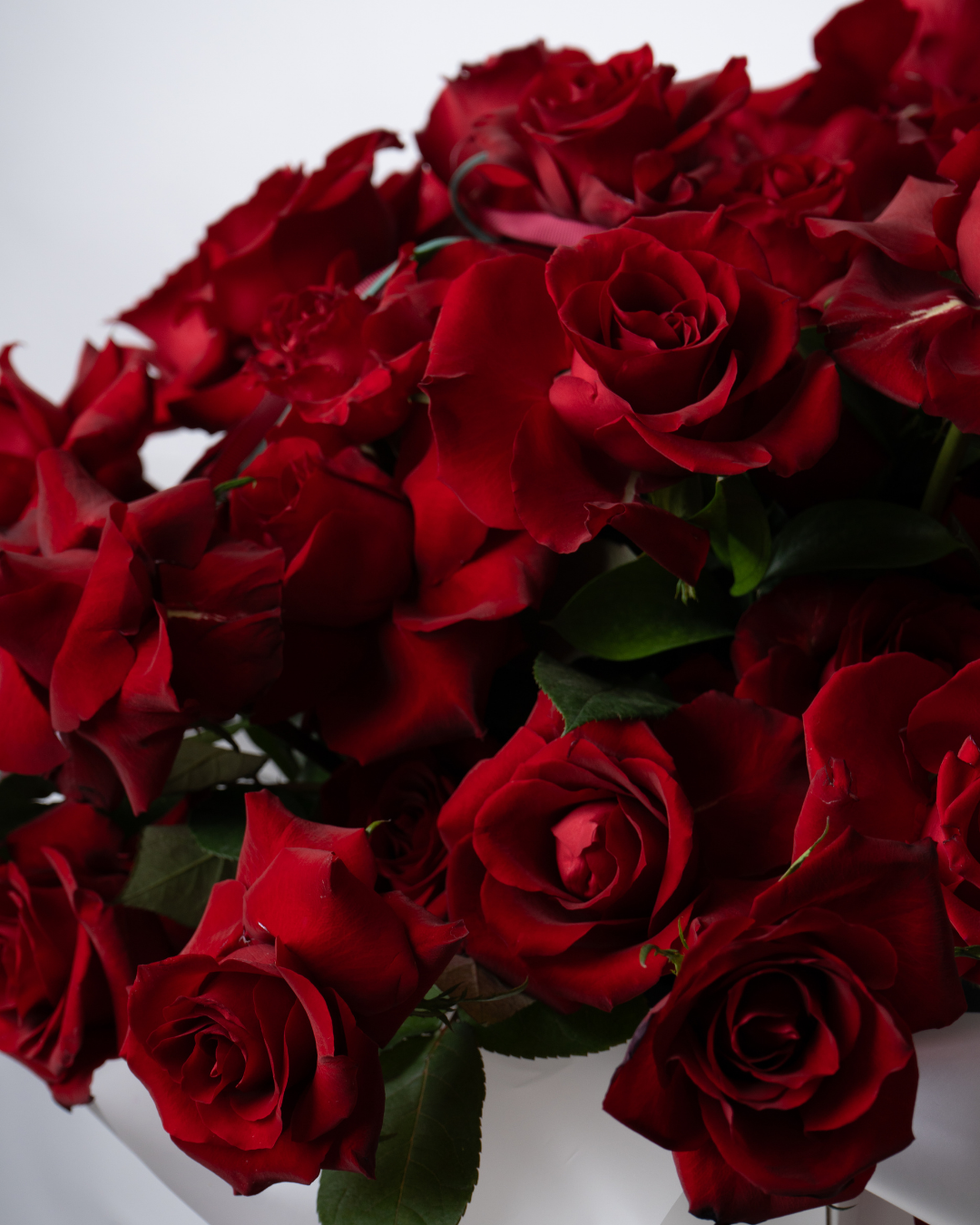 Cherry Ganache - tanella flowers 