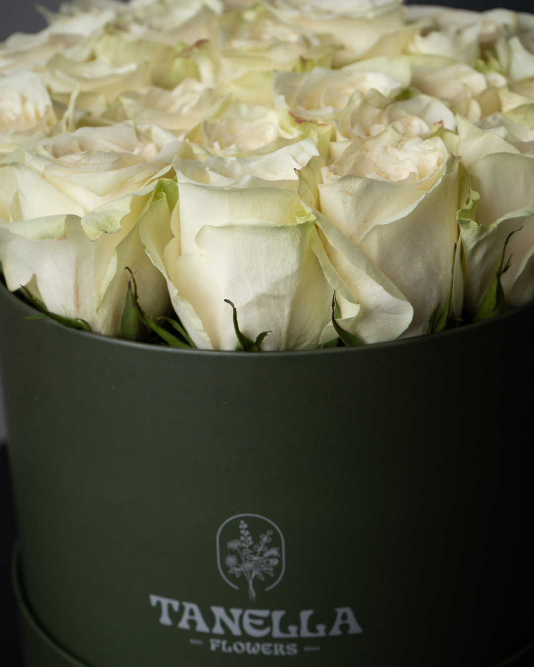 White Mocha - tanella flowers 