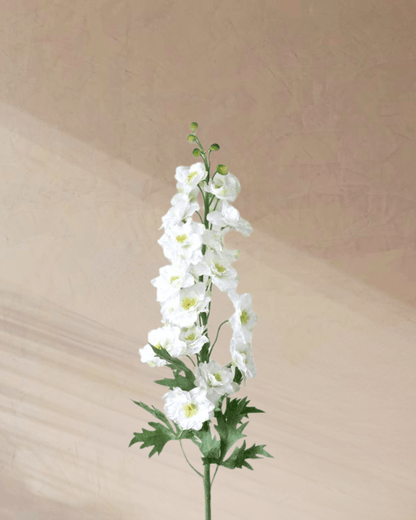 ‎Azure Whispers - tanella flowers 