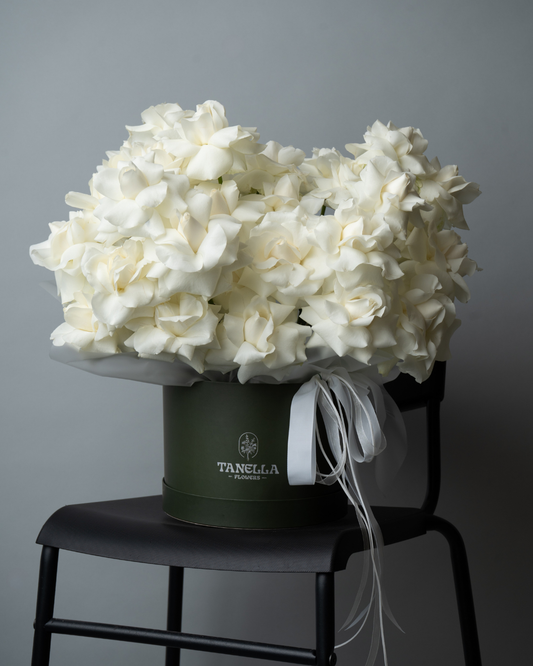 Sugar Rose - tanella flowers 