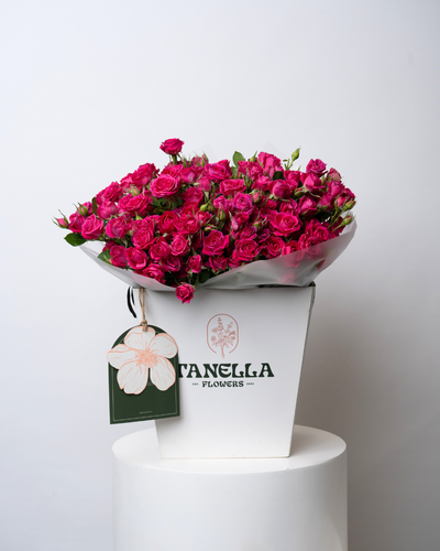 Pomegranate Swirl - tanella flowers 