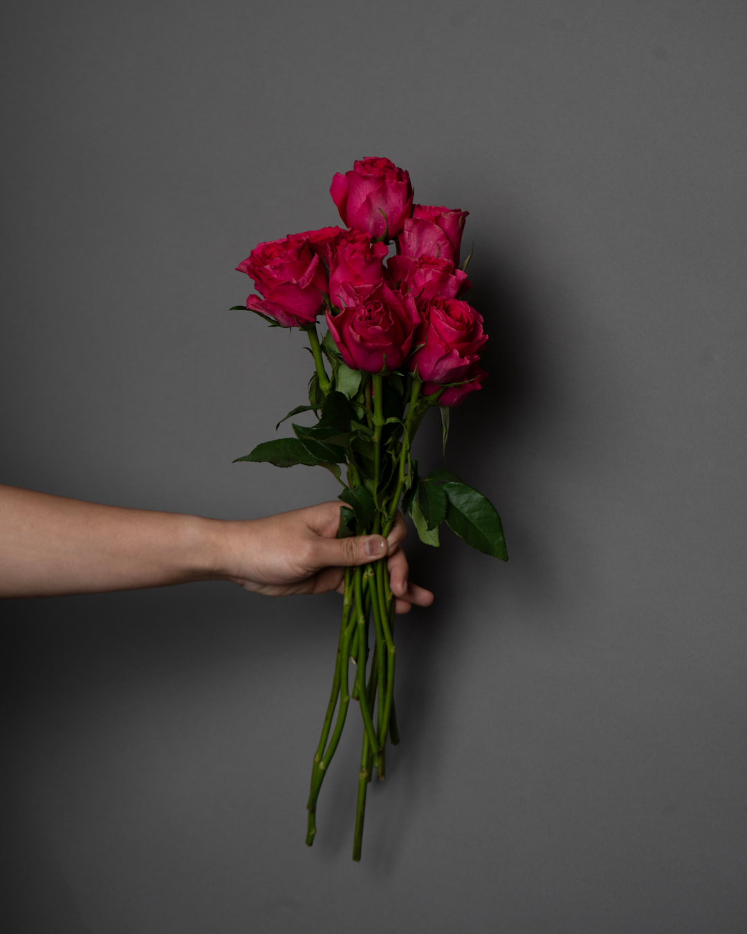 Rose Hot Spot - tanella flowers 