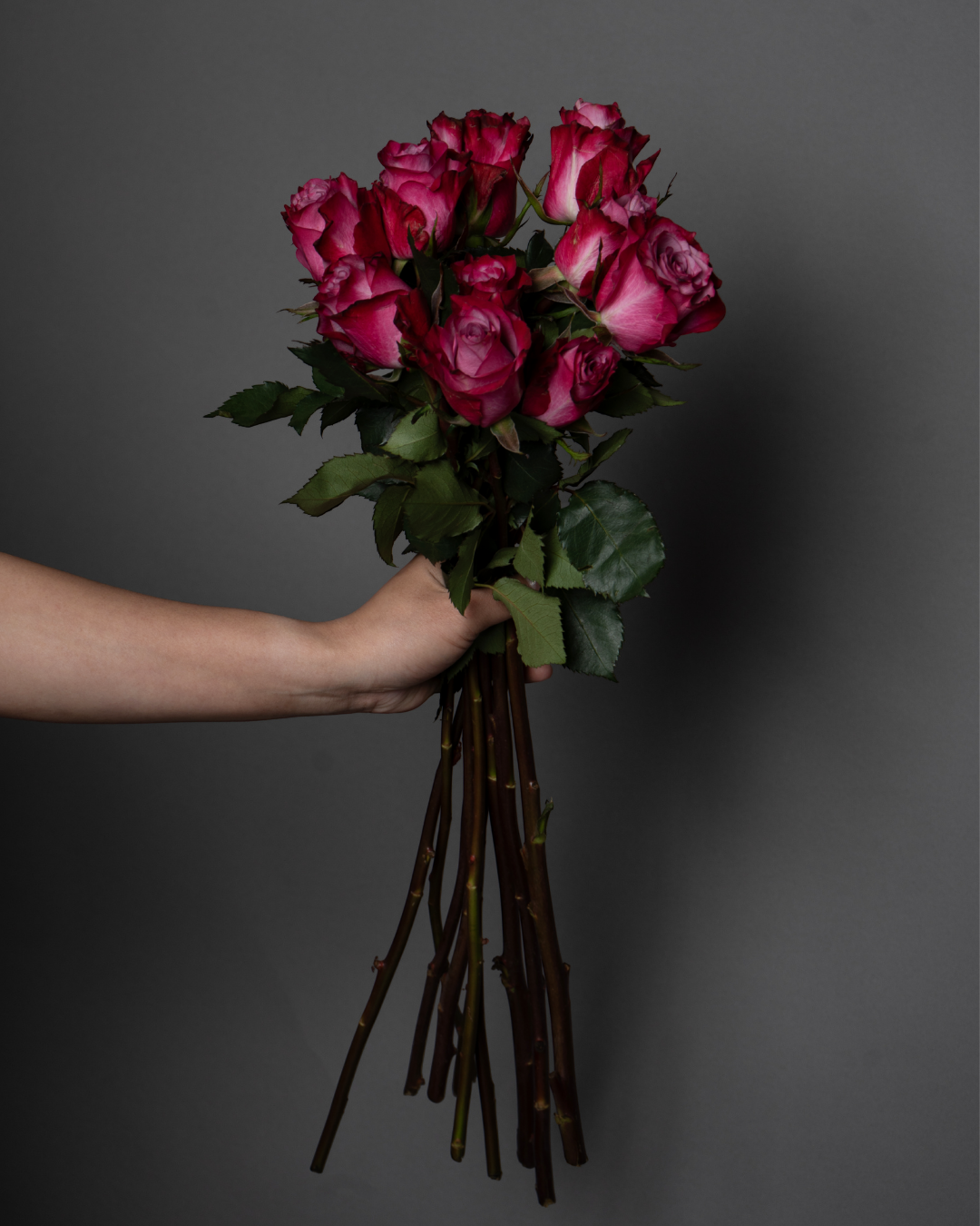 Rose Deep Purple - tanella flowers 