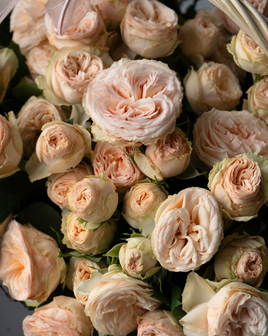 Soft Amber - tanella flowers 