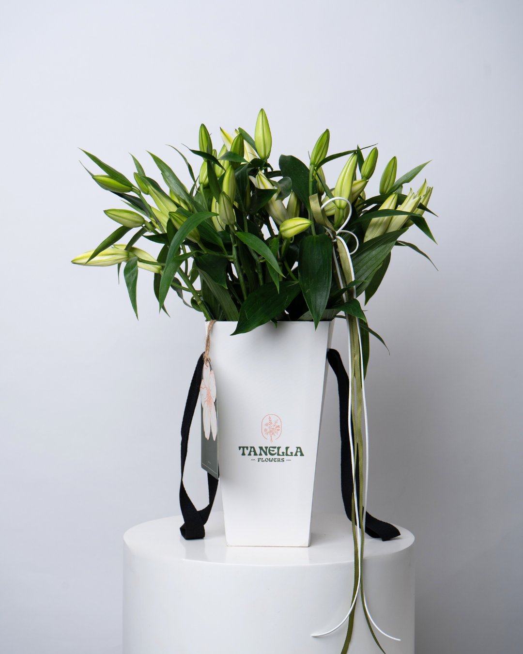 Mojito - tanella flowers 