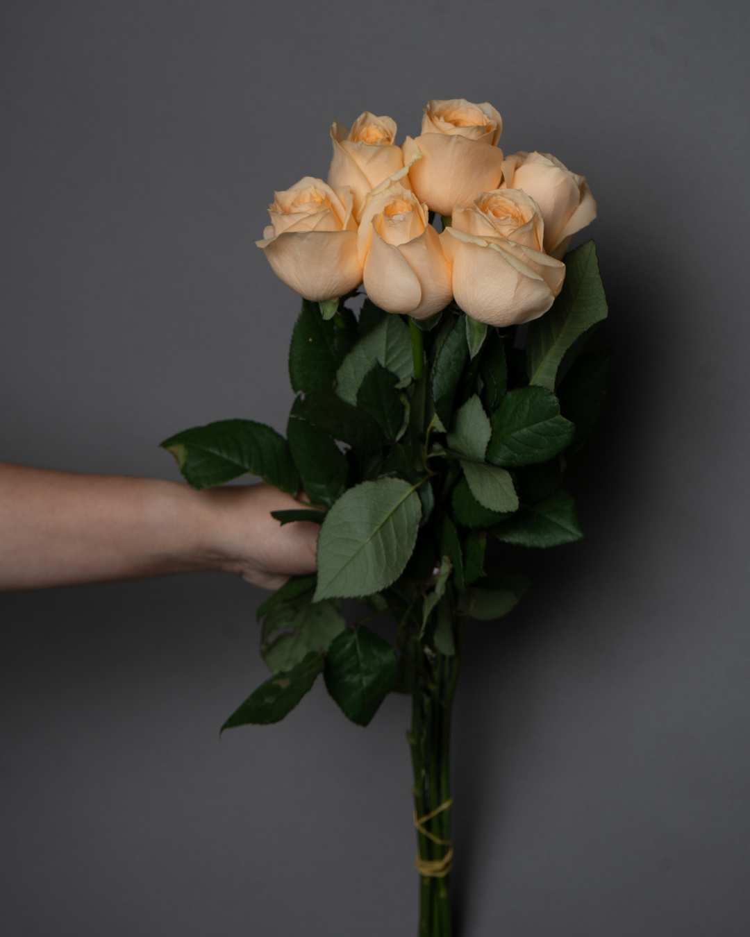 Rose Magic Avalanche - tanella flowers 