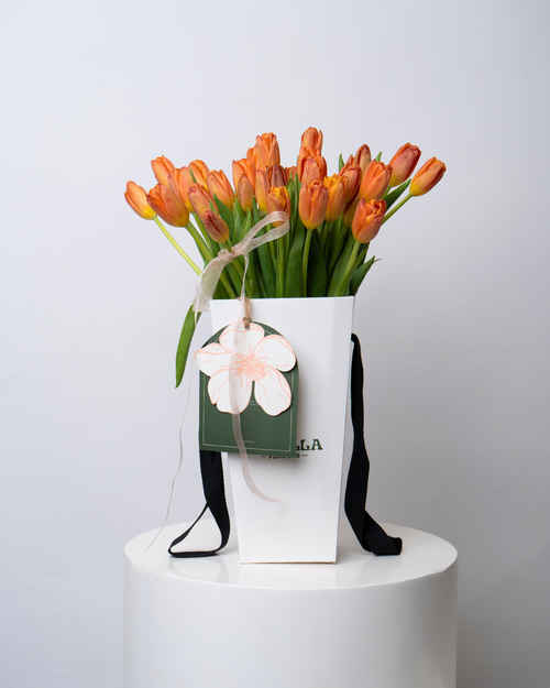 Apricot Frost - tanella flowers 
