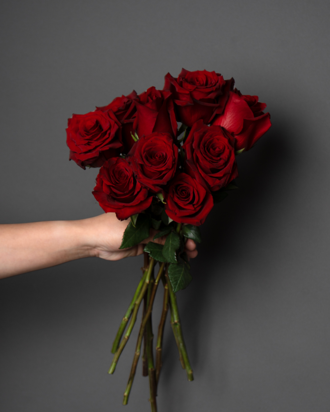 Rose Red - tanella flowers 