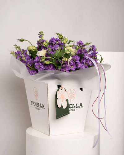 Violet Jam - tanella flowers 