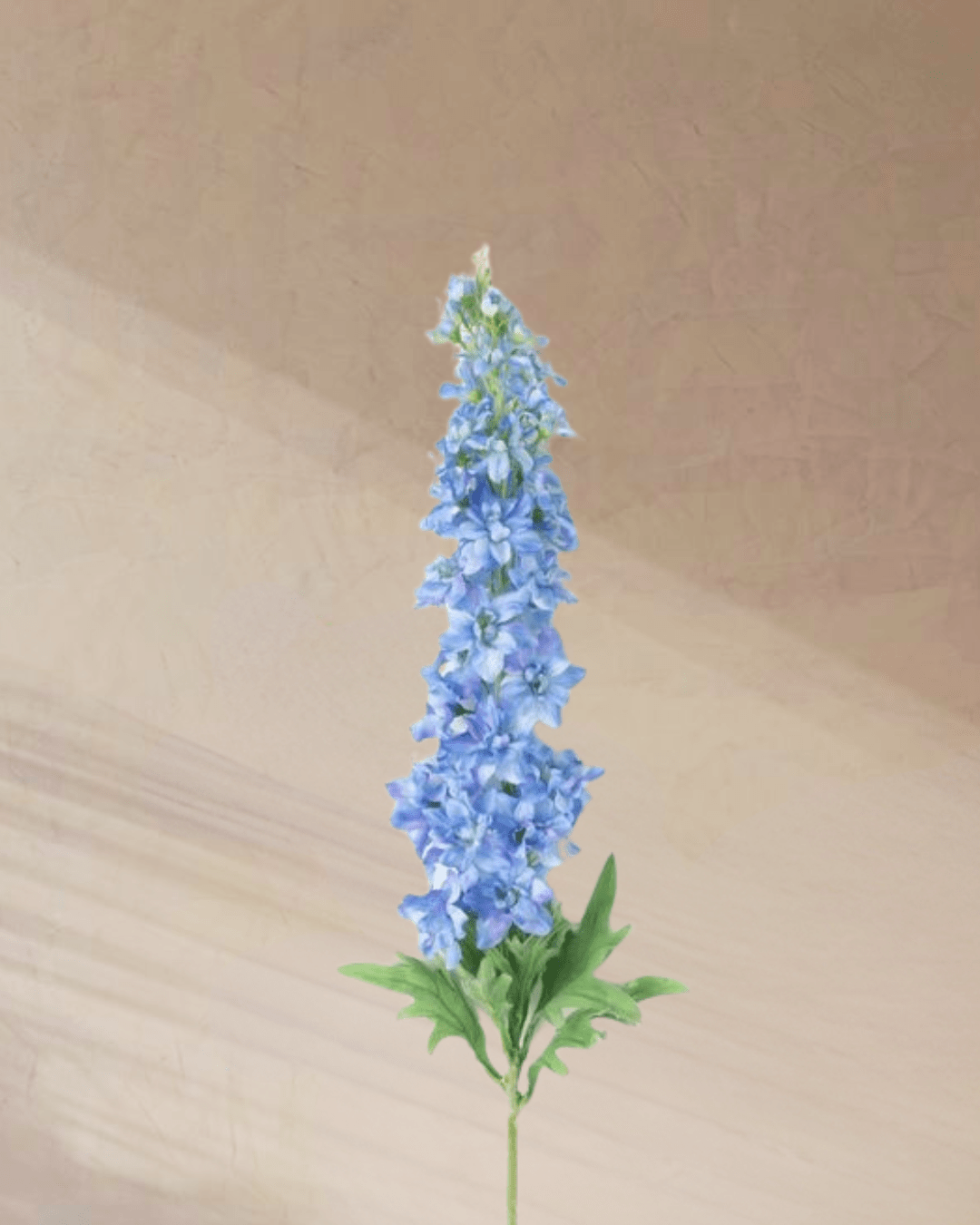 ‎Azure Whispers - tanella flowers 