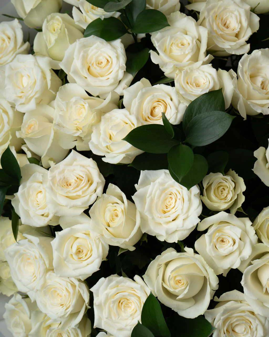 Forever Yours Bundle - tanella flowers 