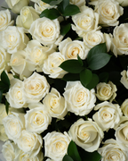 Forever Yours Bundle - tanella flowers 