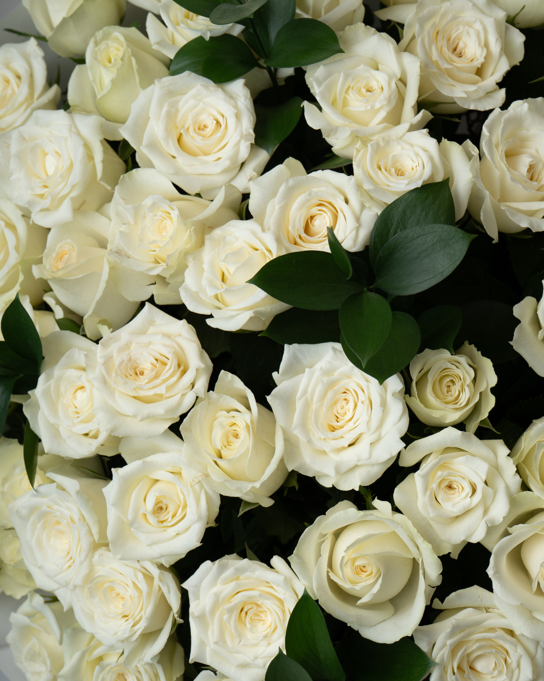 Forever Yours Bundle - tanella flowers 