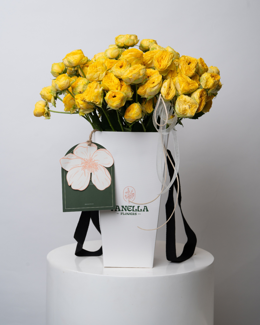 Pineapple Cream - tanella flowers 