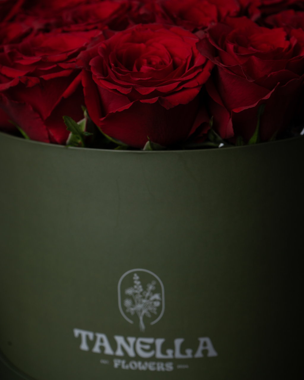 Chili Chocolate - tanella flowers 