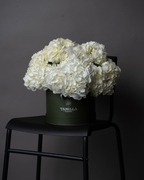 Vanilla Cloud - tanella flowers 