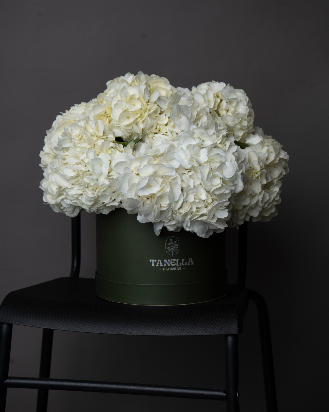 Vanilla Cloud - tanella flowers 