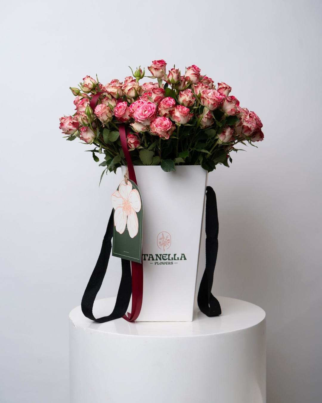 Rosé Meringue - tanella flowers 