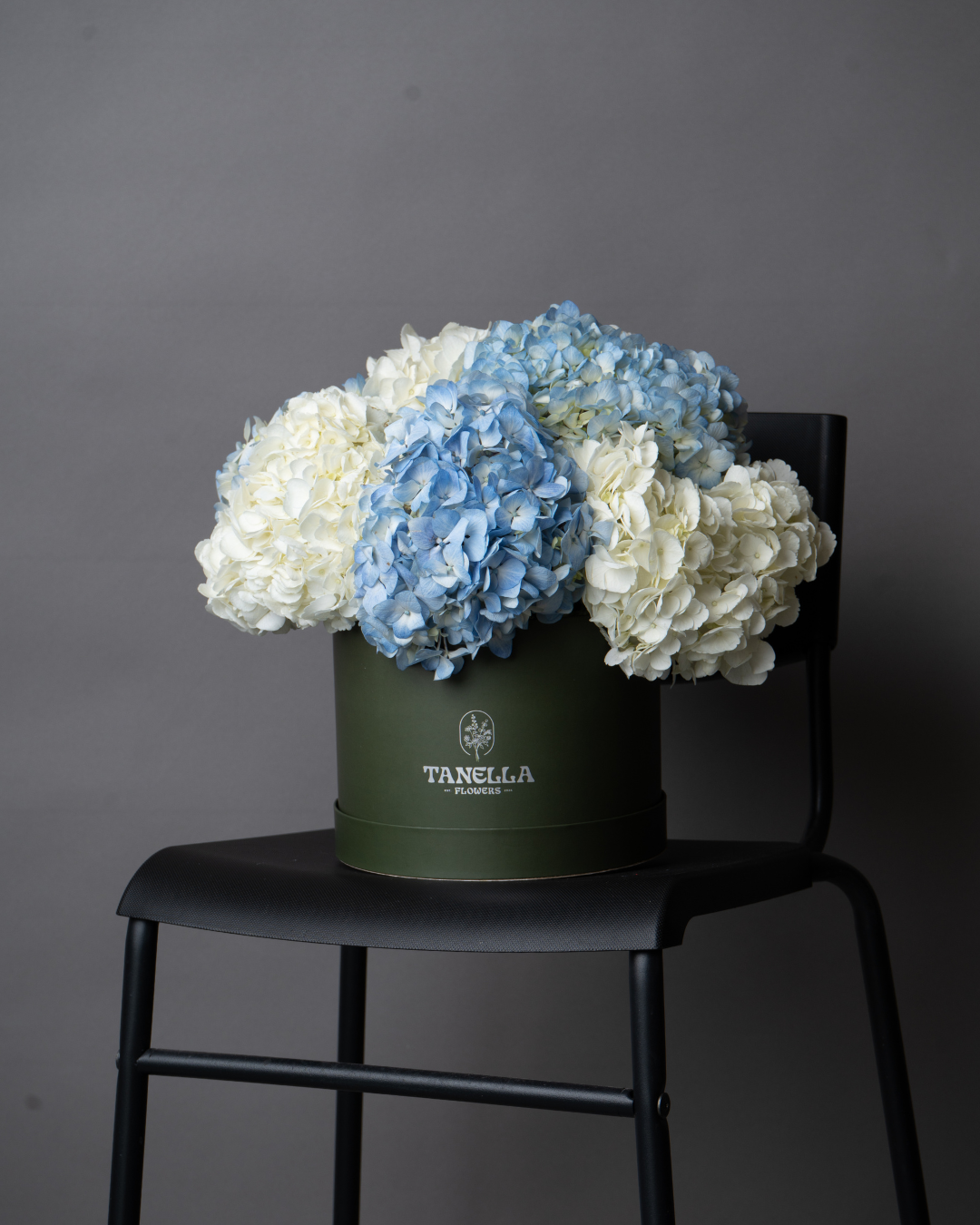 Blueberry Cheesecake - tanella flowers 