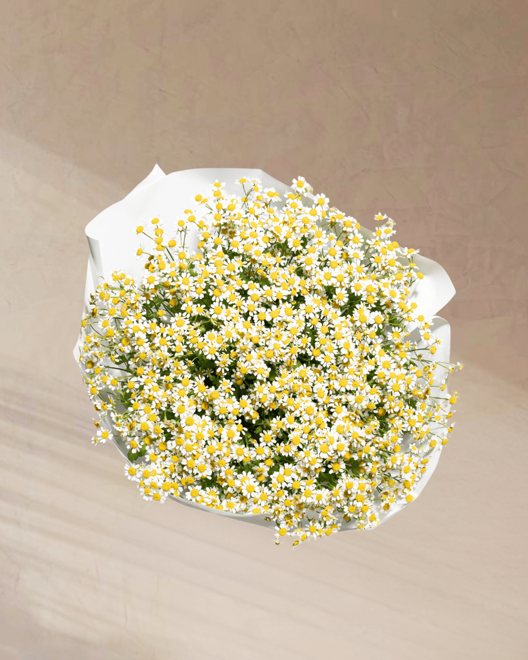 ‎Golden Daze - tanella flowers 