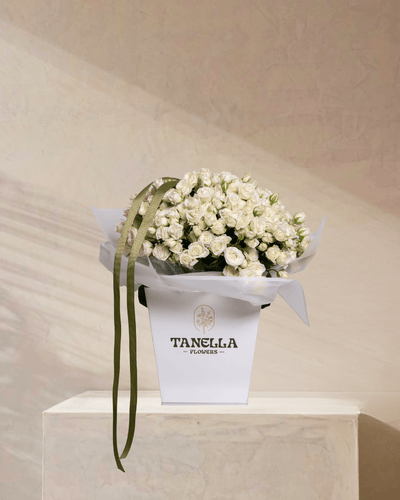 Pearl Radiance - tanella flowers 