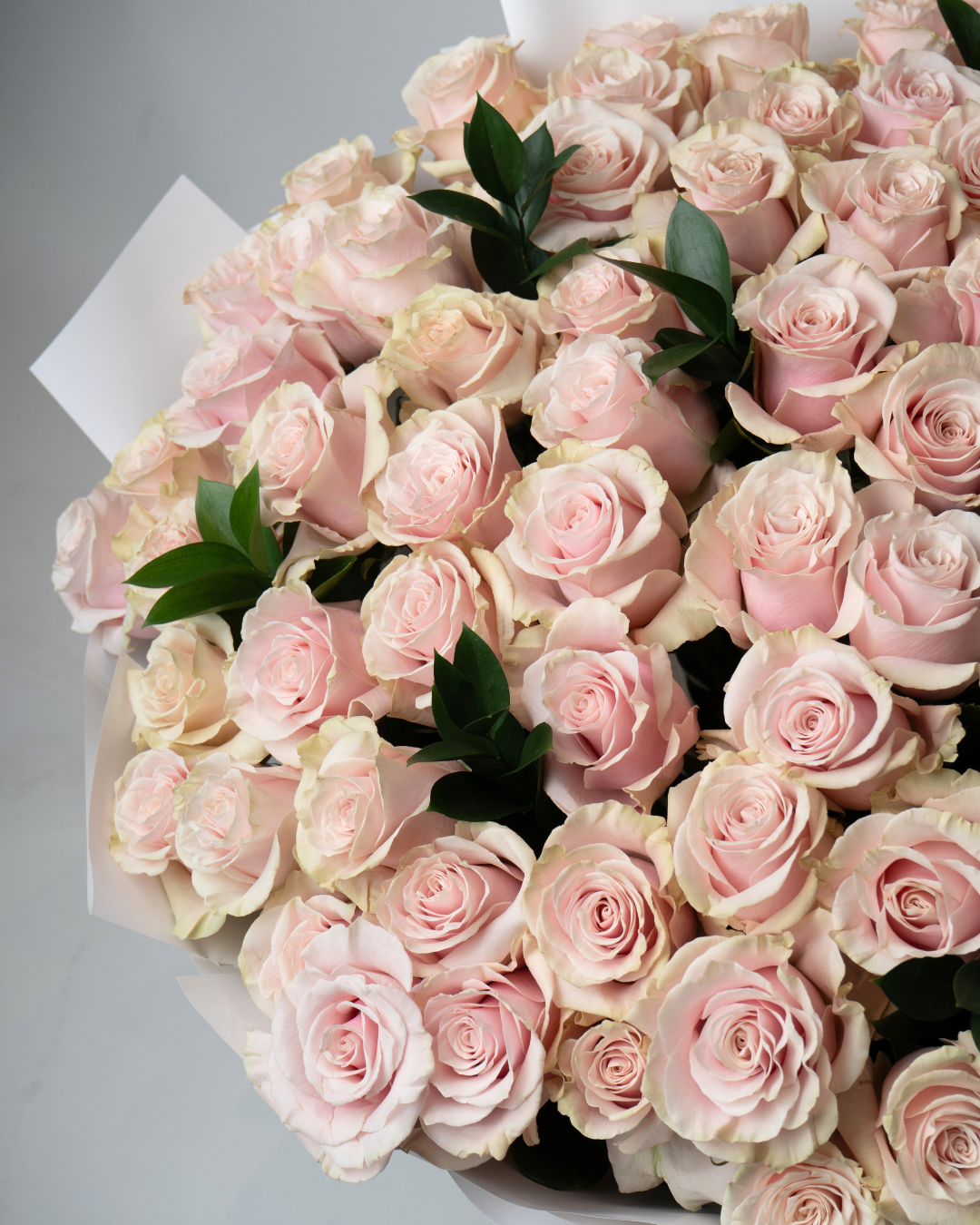 Soft Promise Bundle - tanella flowers 