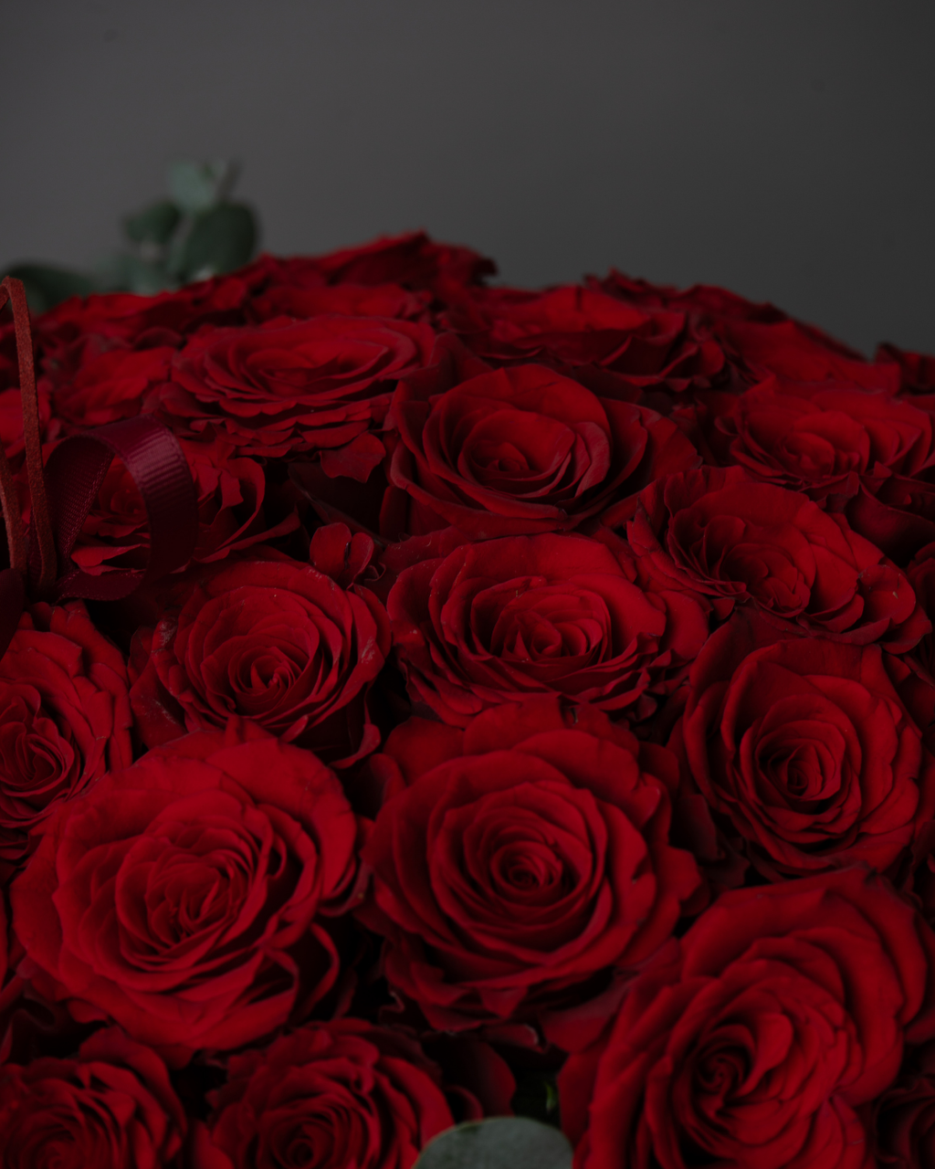 Rouge Macaron - tanella flowers 