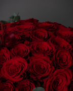 Rouge Macaron - tanella flowers 