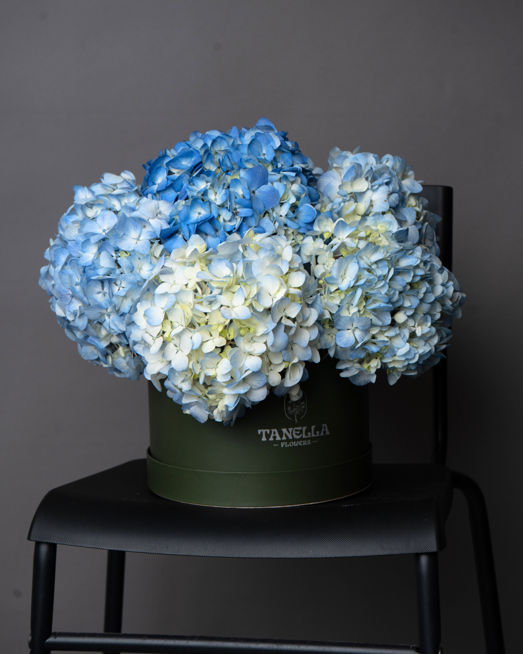 Blue Haze - tanella flowers 